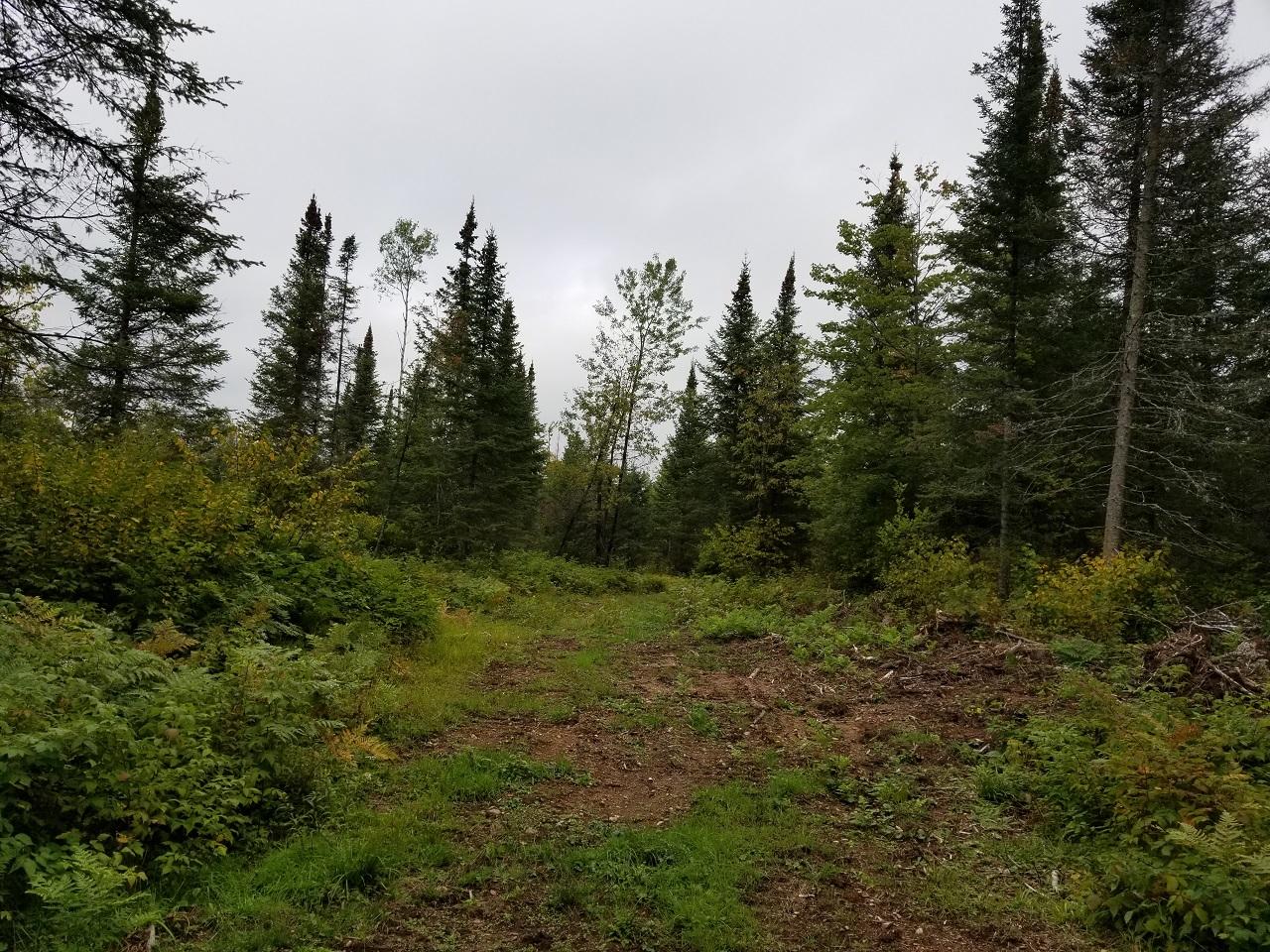 20-ac Off Boyer Road Mercer, WI 54547 - Photo 16 of 21 Gallery Image 16