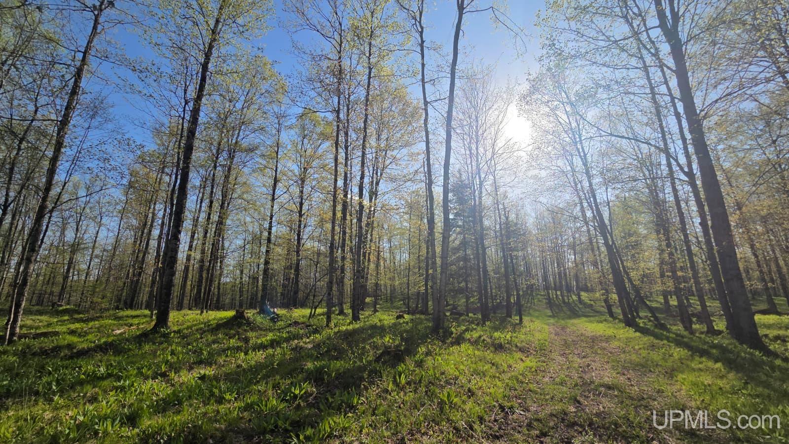 Tbd County Line Road Hermansville, MI 49847 - Photo 17 of 20