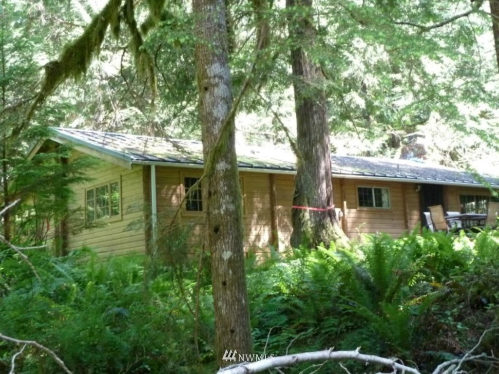 1686 Cline Road Randle, WA 98377 - Photo 19 of 22 Gallery Image 19