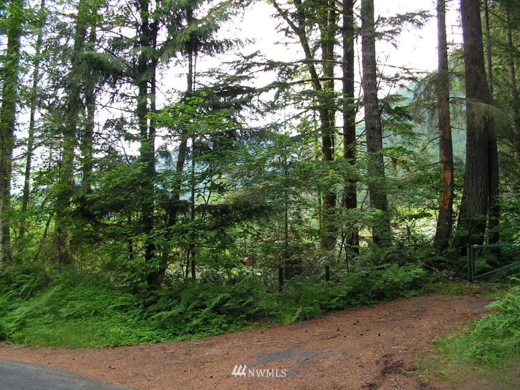 1686 Cline Road Randle, WA 98377 - Photo 21 of 22 Gallery Image 21