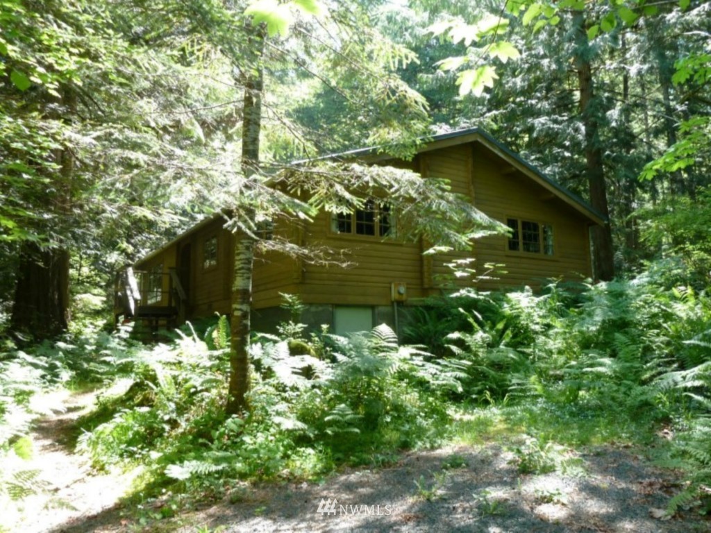 1686 Cline Road Randle, WA 98377 - Photo 4 of 22 Gallery Image 4