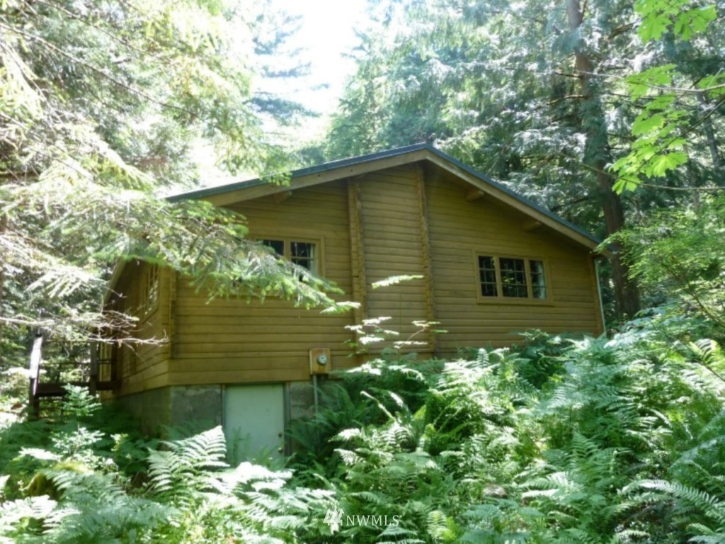 1686 Cline Road Randle, WA 98377 - Photo 5 of 22 Gallery Image 5