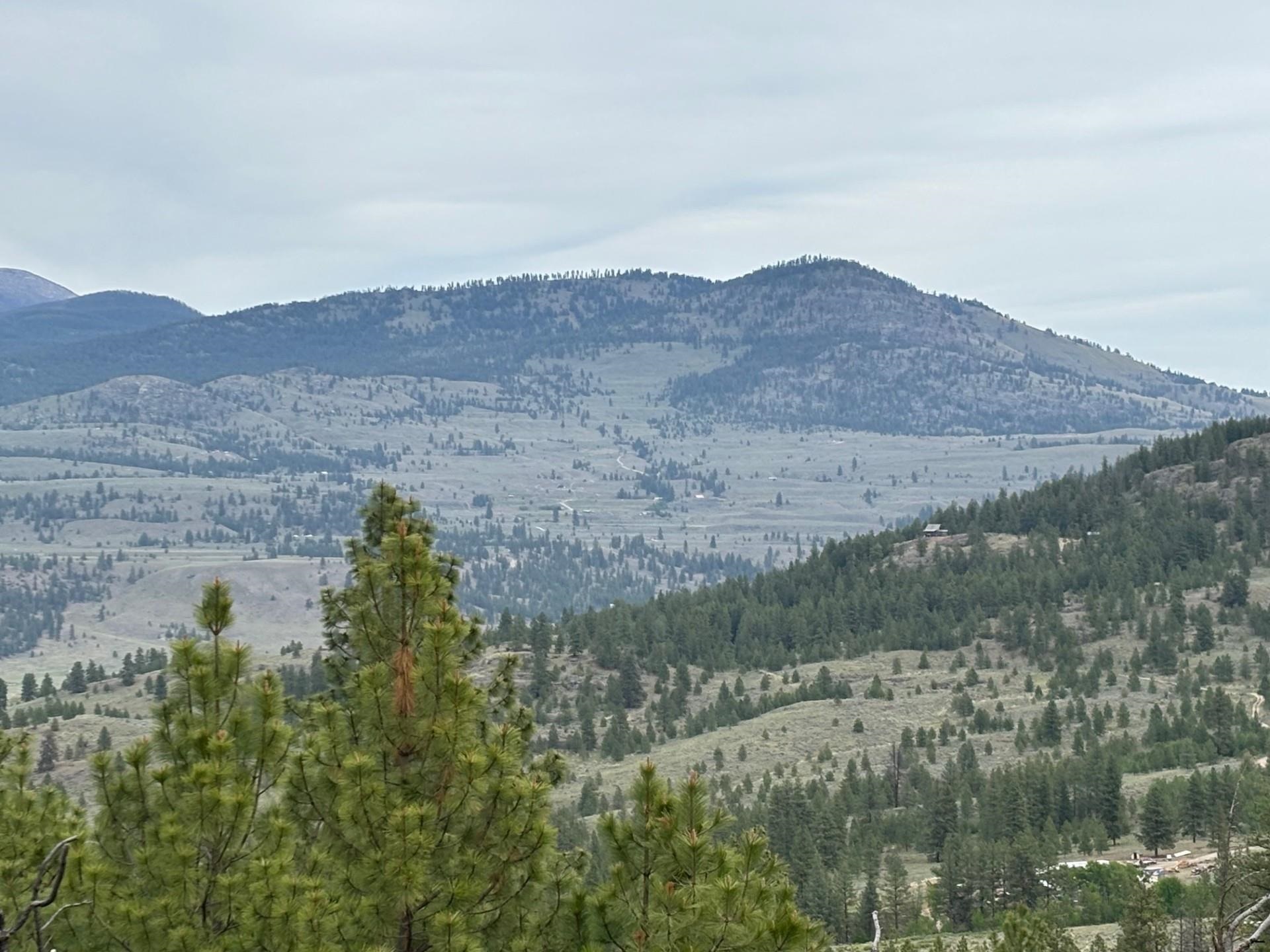 8-xx Upper Reevas Basin Road, Unit LOT 3628012011 Tonasket, WA 98855 - Photo 1 of 18 Gallery Image 1
