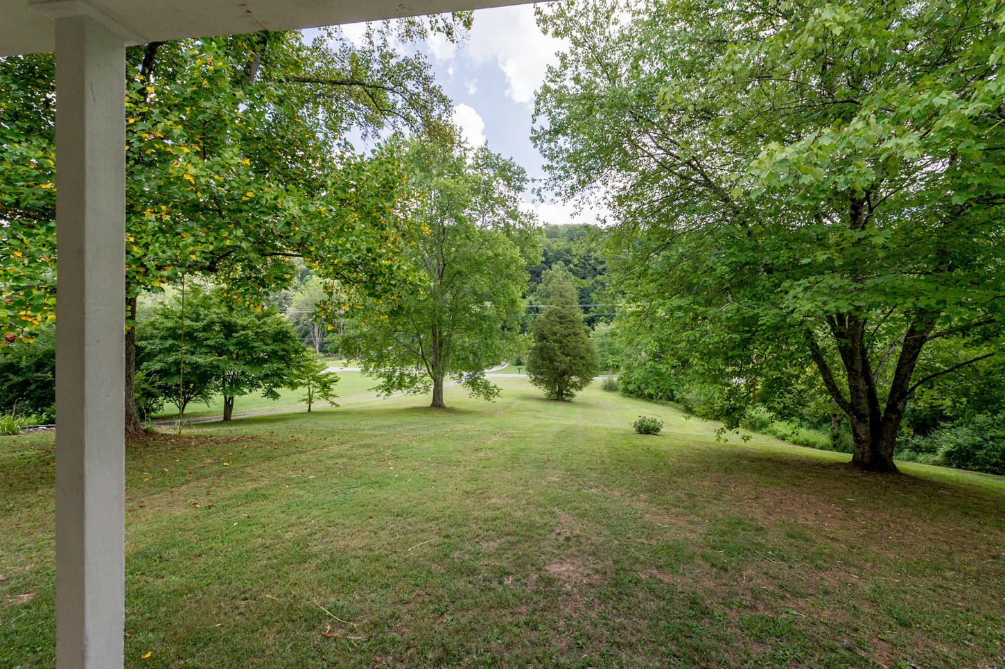896 East Wolf Valley Road Heiskell, TN 37754 - Photo 3 of 22 a view of a big yard with large trees and plants