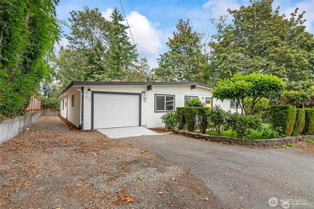 a backyard of a house with plants and large tree