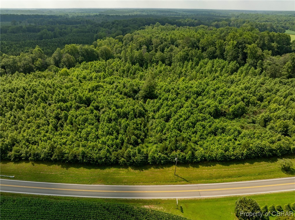 138-acres Dutton Road Gloucester, VA 23061 - Photo 21 of 37 Gallery Image 21