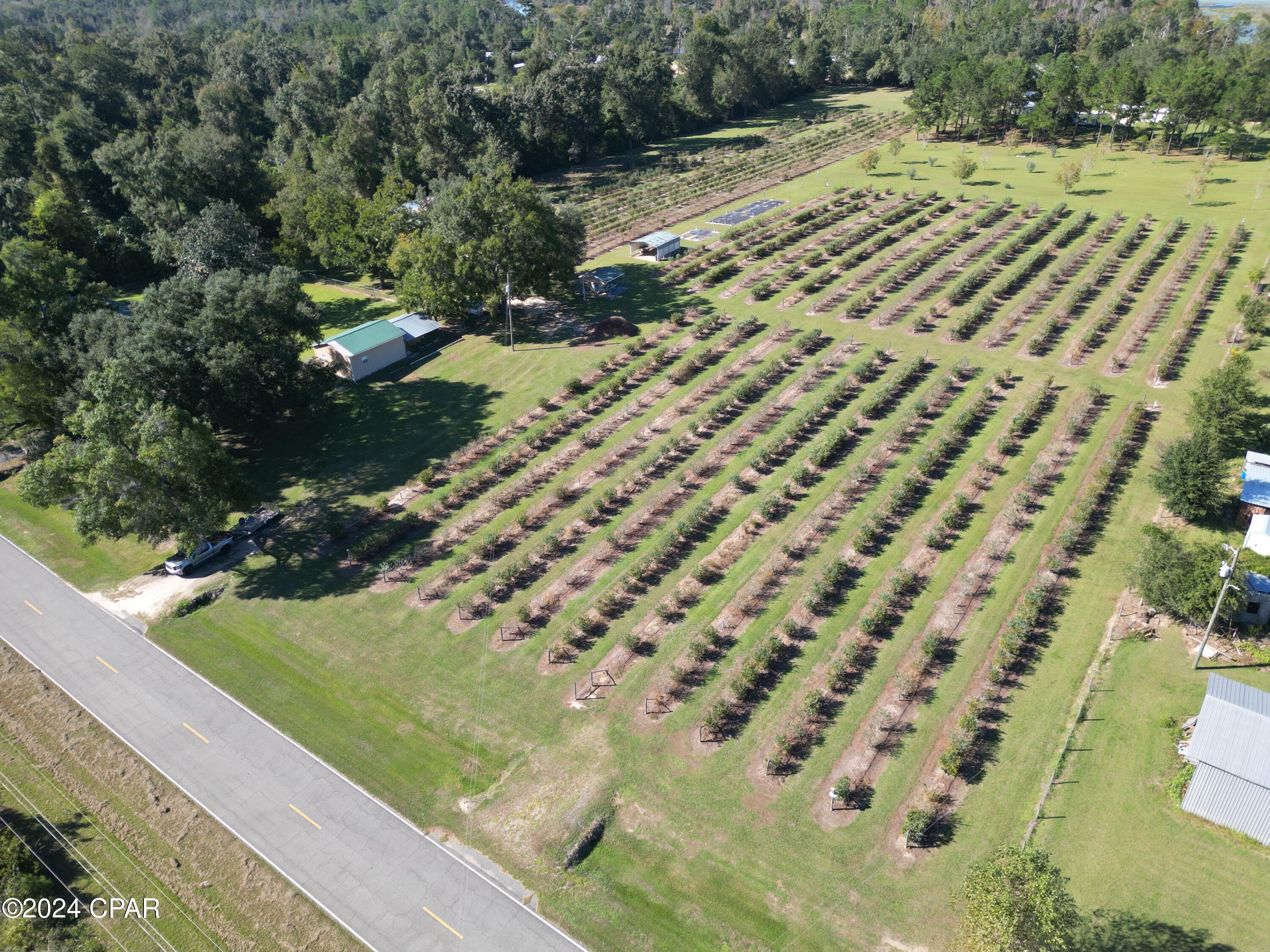 7772 Howell Road Sneads, FL 32460 - Photo 2 of 45 Gallery Image 2