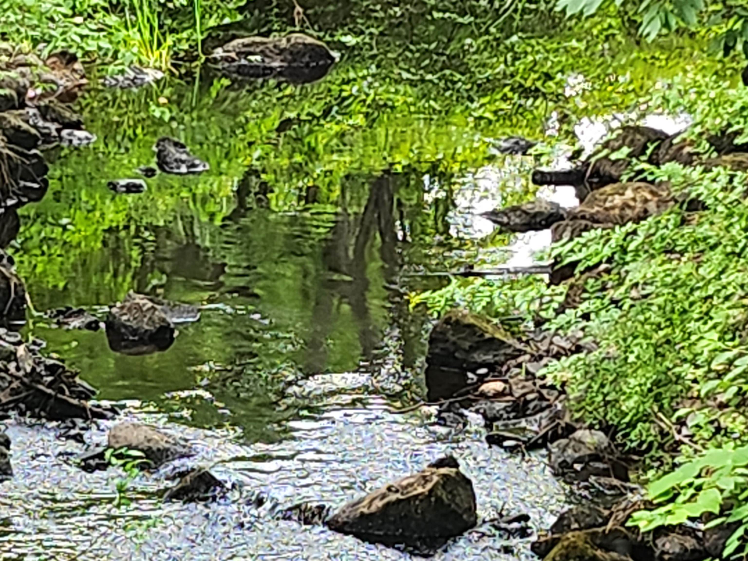 126 Meredith Center Road Meredith, NH 03253 - Photo 2 of 8