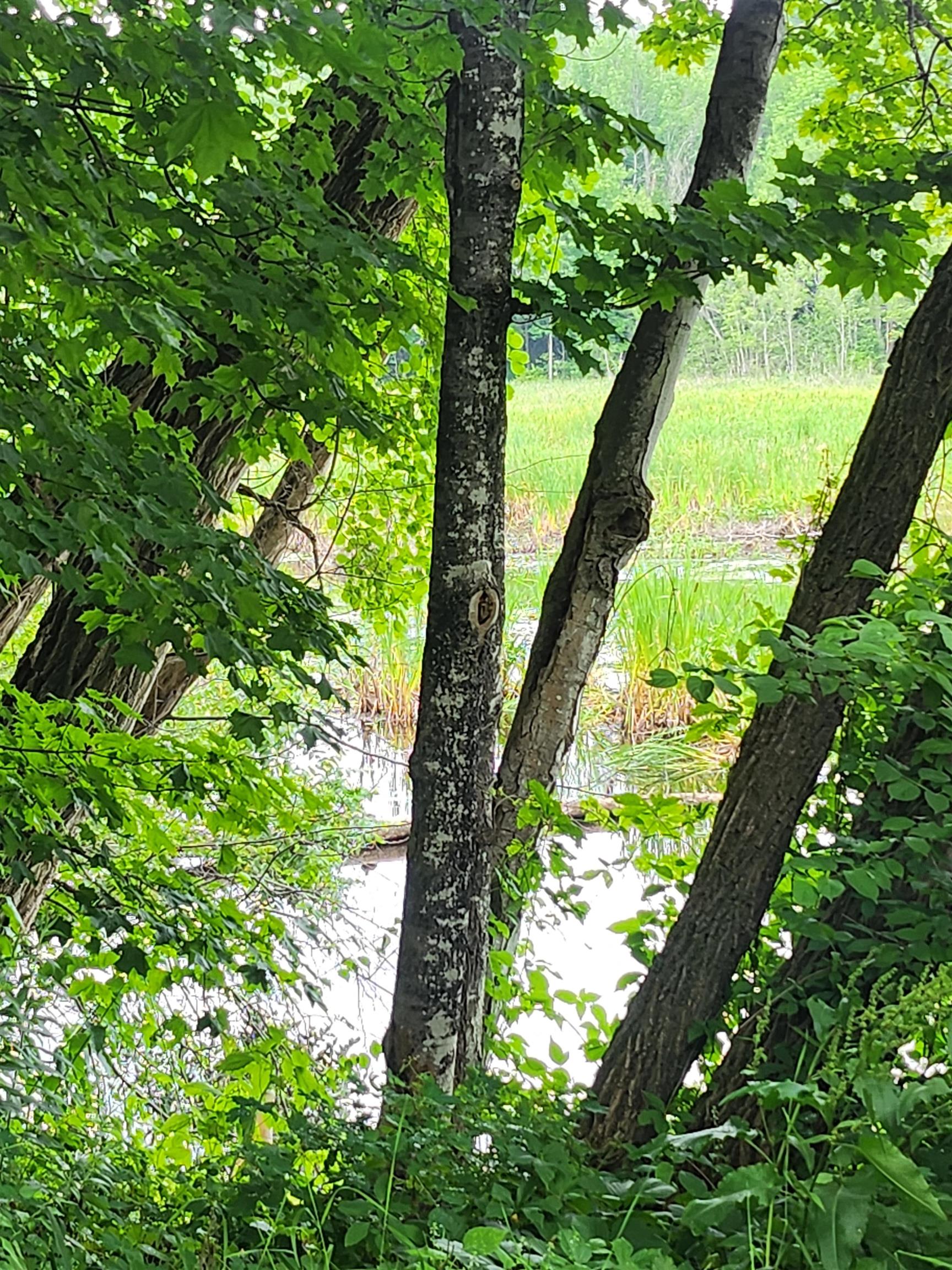 126 Meredith Center Road Meredith, NH 03253 - Photo 3 of 8