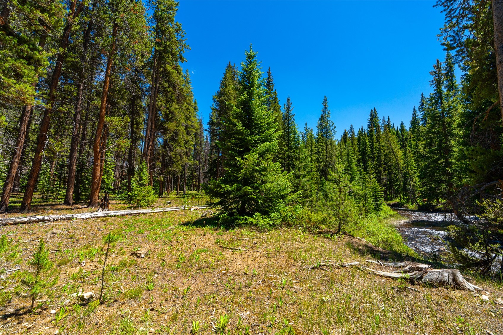 277 Wagon Road Breckenridge, CO 80424 - Photo 47 of 50
