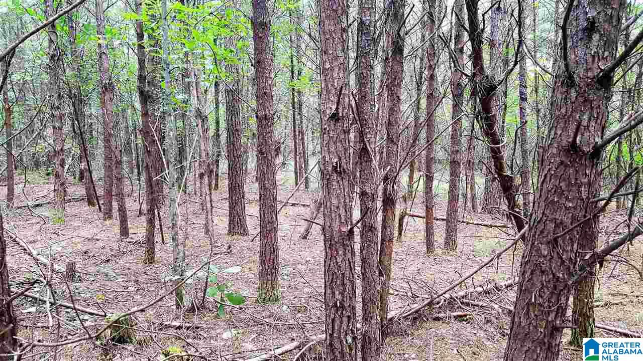 2 Lucas Drive, Unit 1 Hayden, AL 35079 - Photo 7 of 11