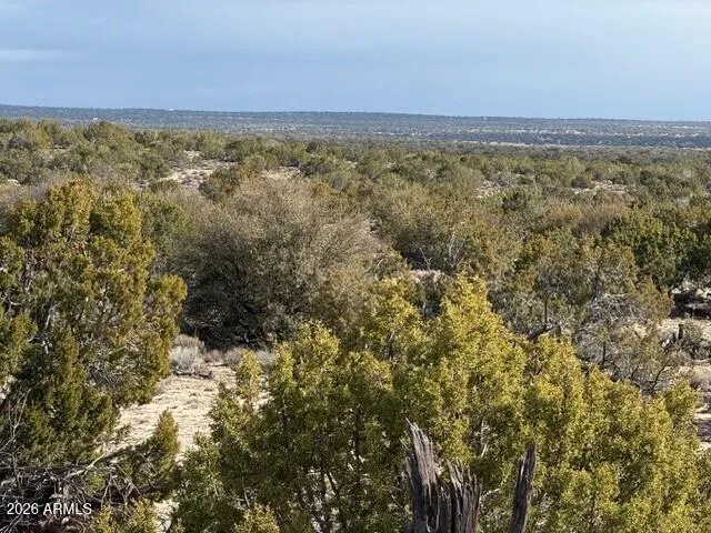 $80,000 | N7421 North N7421, Unit 20637003, St. Johns, AZ 85936