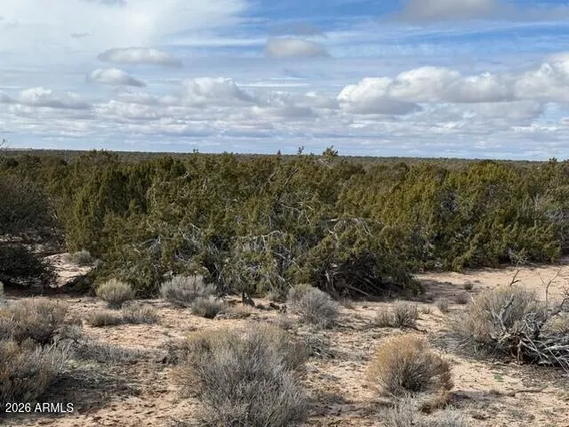 $80,000 | N7421 North N7421, Unit 20637003, St. Johns, AZ 85936