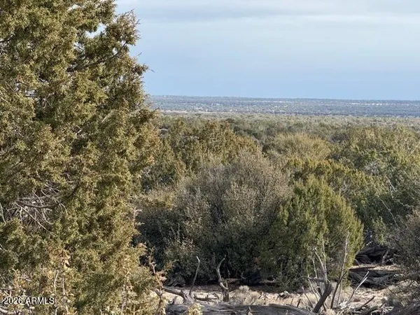 a view of a field with an trees