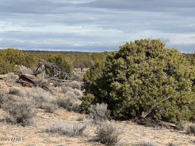 $80,000 | N7421 North N7421, Unit 20637003, St. Johns, AZ 85936