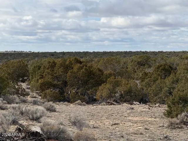 $80,000 | N7421 North N7421, Unit 20637003, St. Johns, AZ 85936