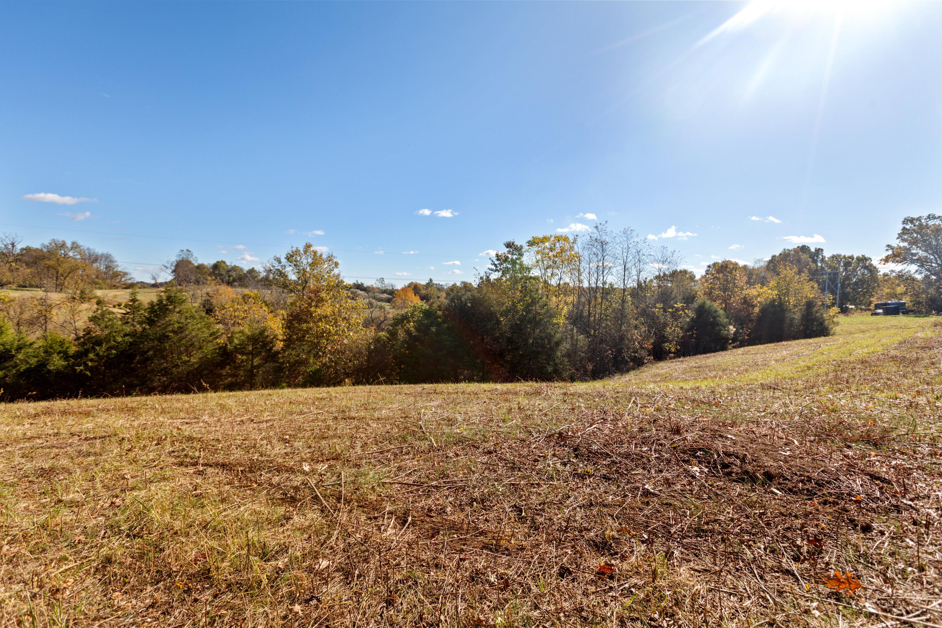 0 Coppage Road Stamping Ground, KY 40379 - Photo 6 of 11 6