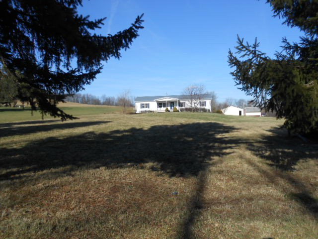 Main View