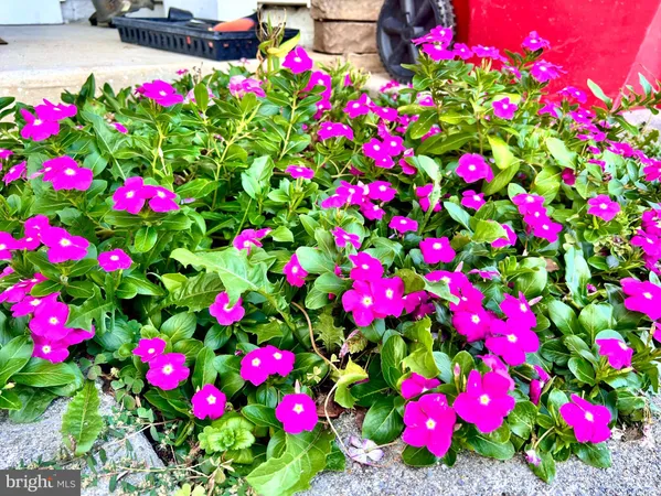 a wooden bench sitting in front of a house