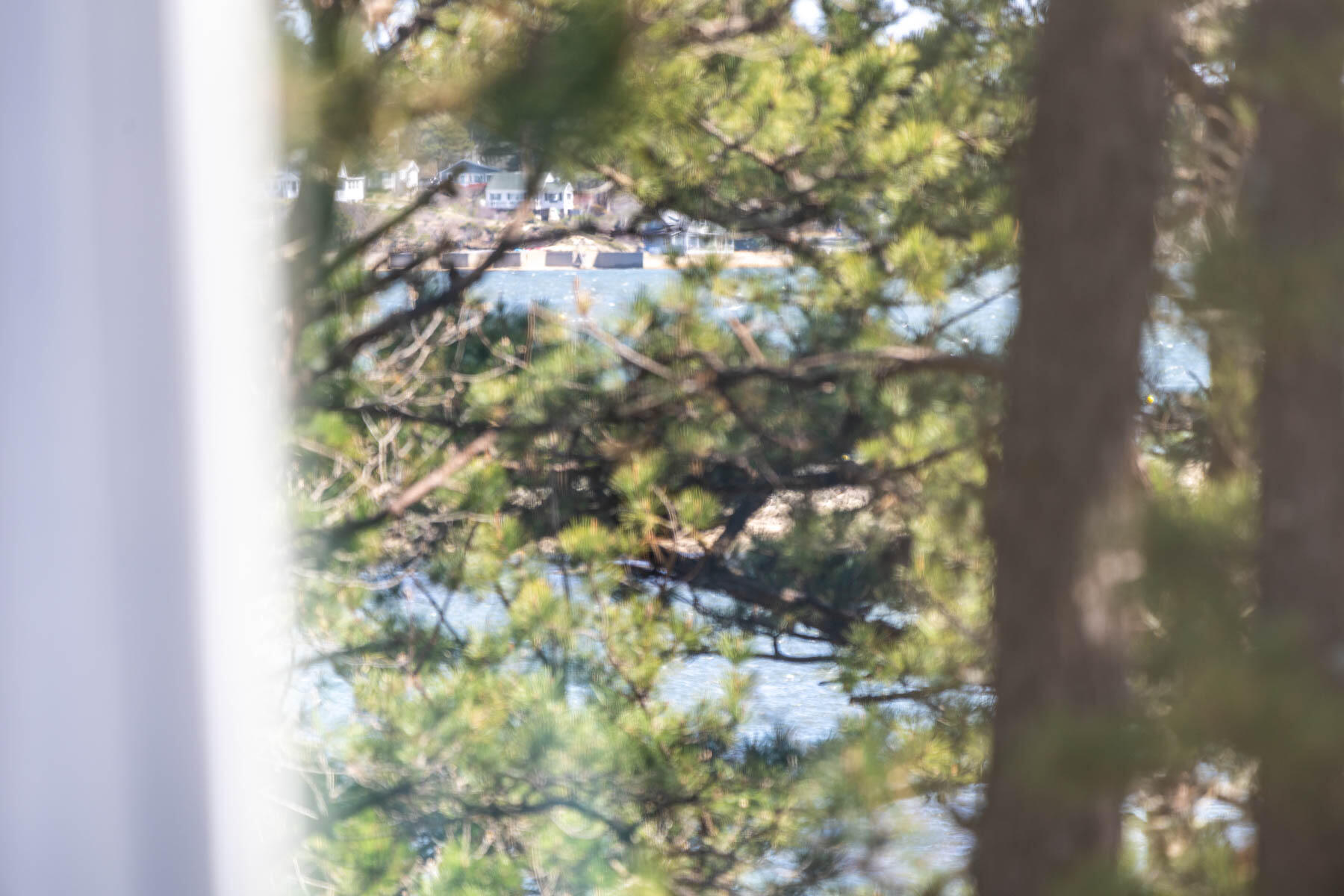 1075 3rd Avenue Wellfleet, MA 02667 - Photo 37 of 87 598A0707