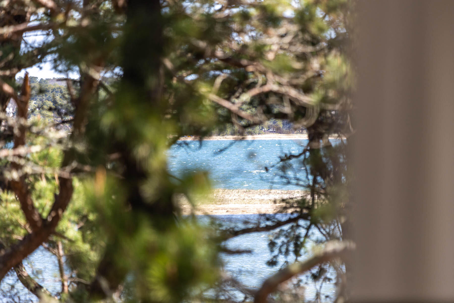 1075 3rd Avenue Wellfleet, MA 02667 - Photo 60 of 87 598A0744