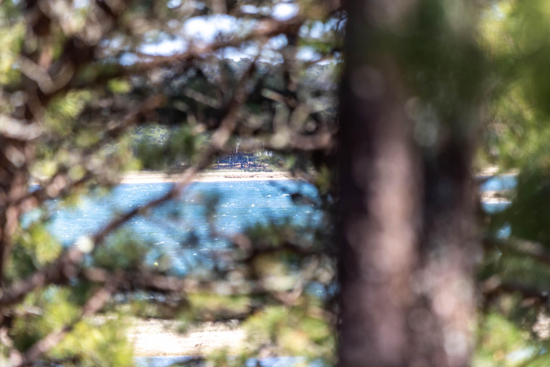 1075 3rd Avenue Wellfleet, MA 02667 - Photo 73 of 87 a view of view of a yard