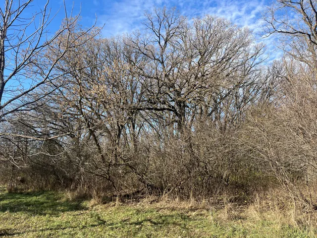 $450,000 | 2 Saint Joseph Twp Mn 56374, Avon, MN 56310