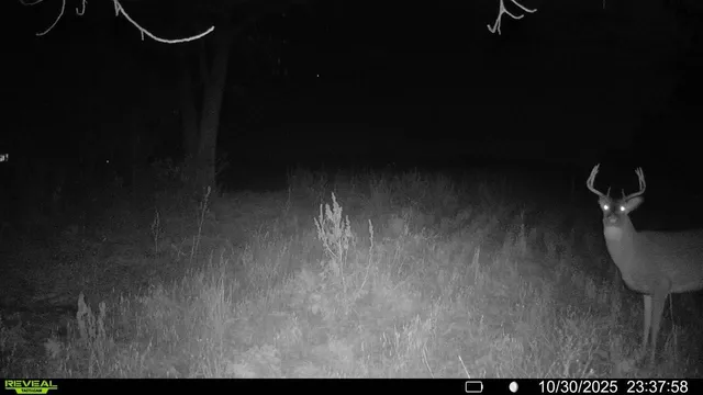 $450,000 | 2 Saint Joseph Twp Mn 56374, Avon, MN 56310