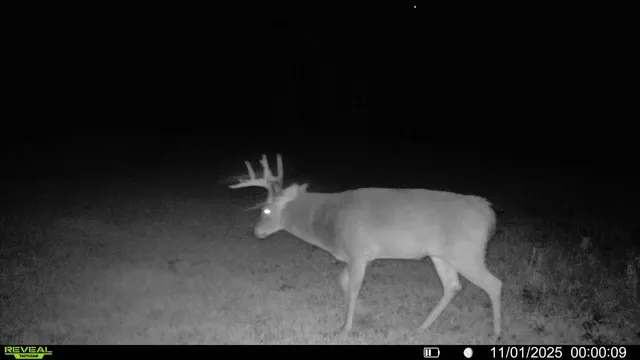 $450,000 | 2 Saint Joseph Twp Mn 56374, Avon, MN 56310