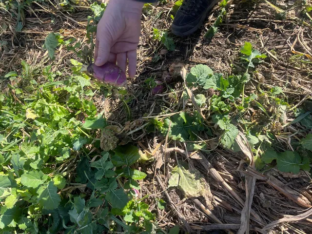 $450,000 | 2 Saint Joseph Twp Mn 56374, Avon, MN 56310