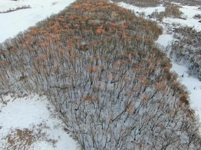 $450,000 | 2 Saint Joseph Twp Mn 56374, Avon, MN 56310