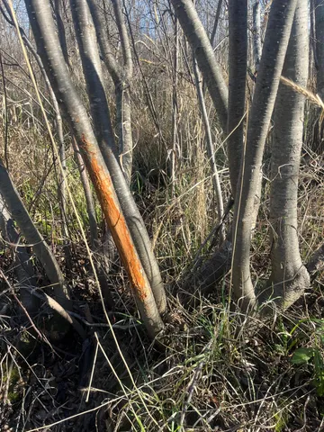 $450,000 | 2 Saint Joseph Twp Mn 56374, Avon, MN 56310