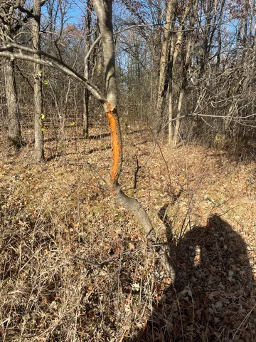 $450,000 | 2 Saint Joseph Twp Mn 56374, Avon, MN 56310