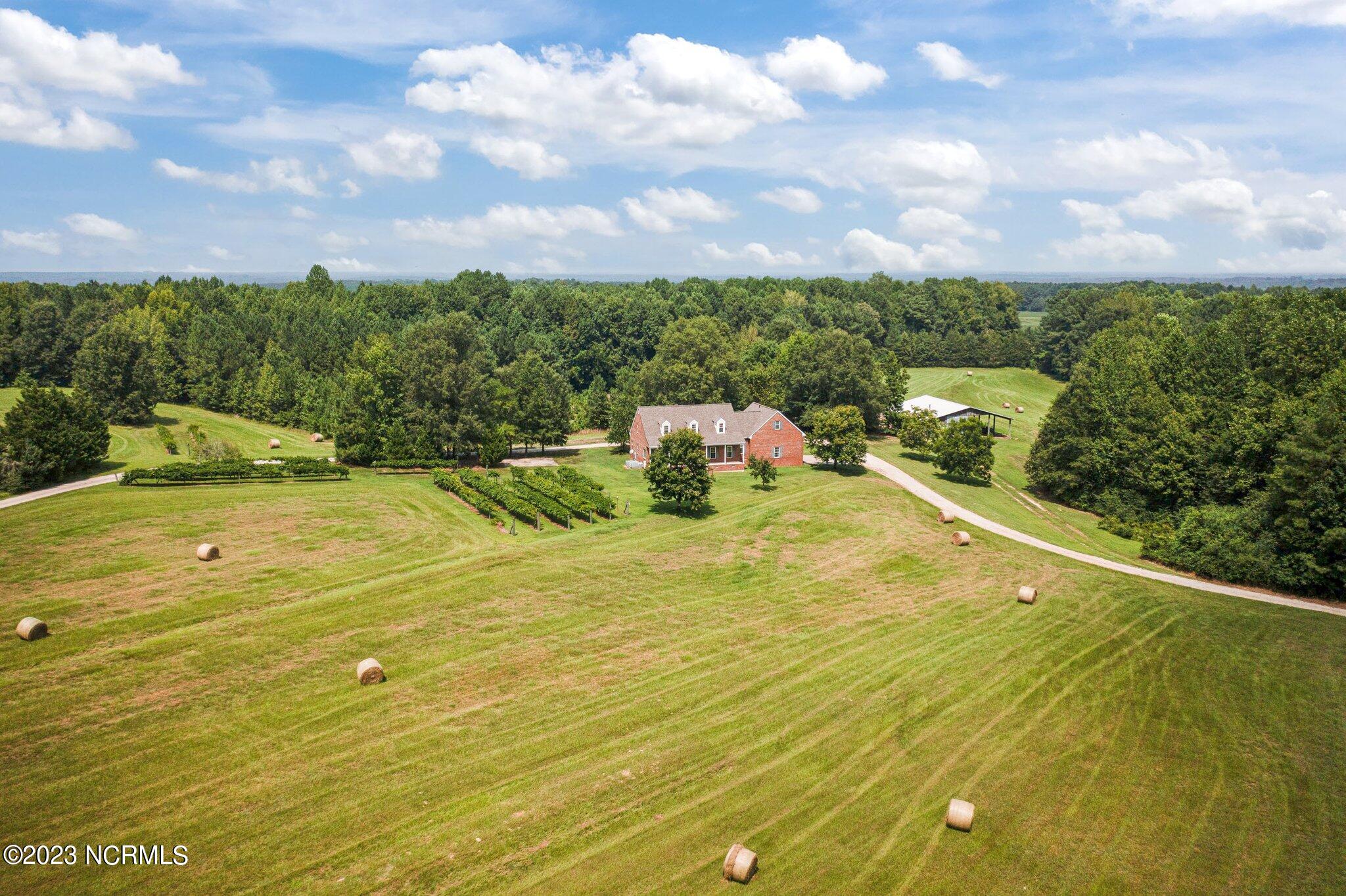 14490 Avent Road Whitakers, NC 27891 - Photo 56 of 70 56-web-or-mls-DJI_0019