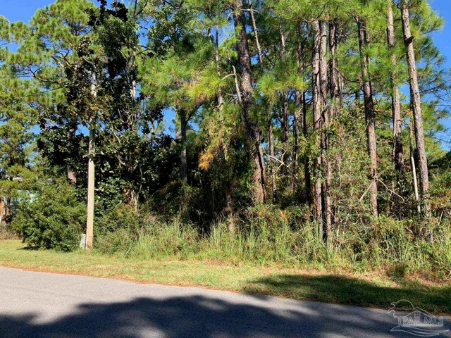 a view of a yard with plants