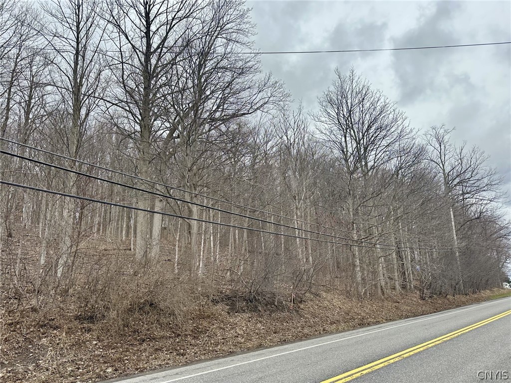 0 Warners Road Camillus, NY 13031 - Photo 1 of 4