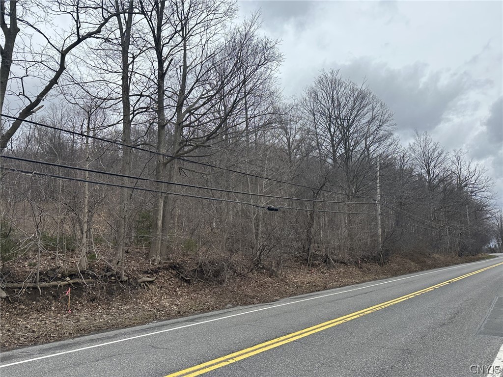 0 Warners Road Camillus, NY 13031 - Photo 2 of 4