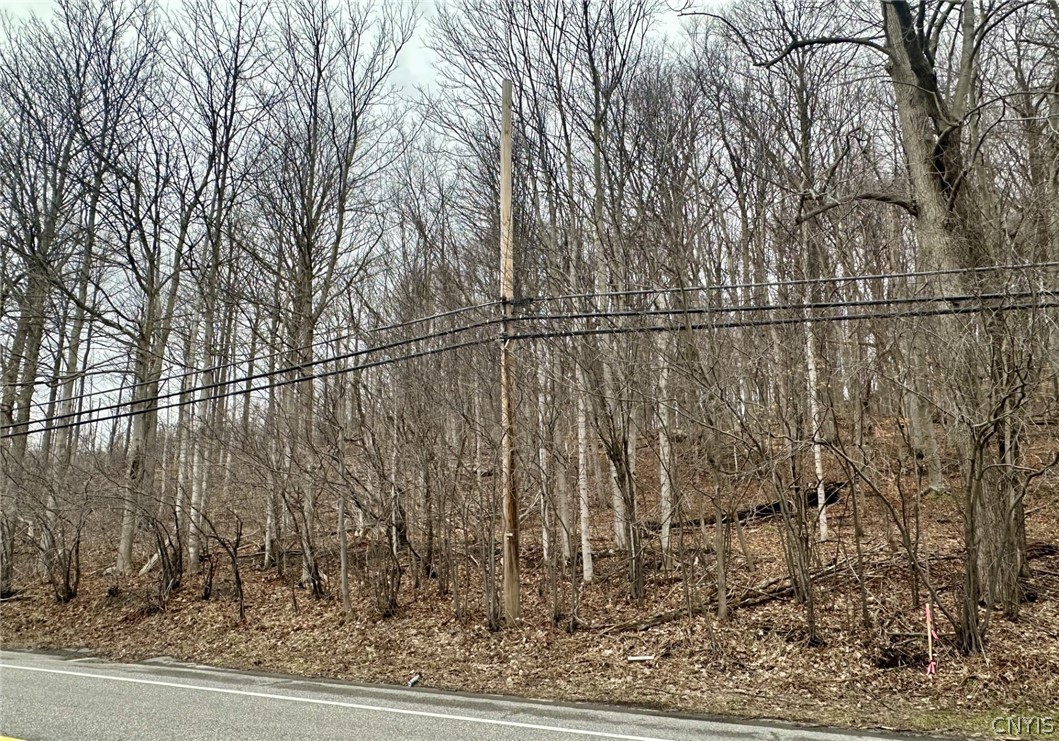 0 Warners Road Camillus, NY 13031 - Photo 4 of 4