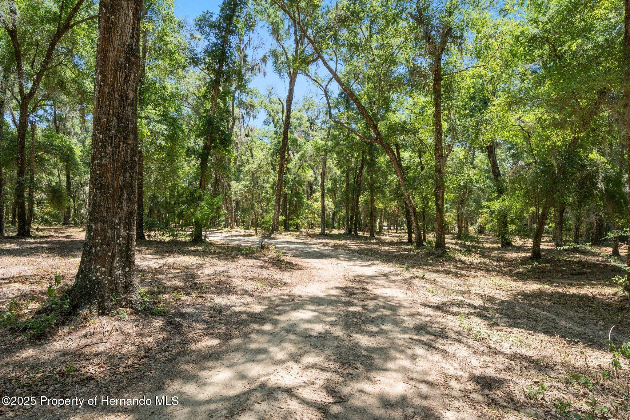11440 South Pleasant Grove Road Floral City, FL 34436 - Photo 41 of 42