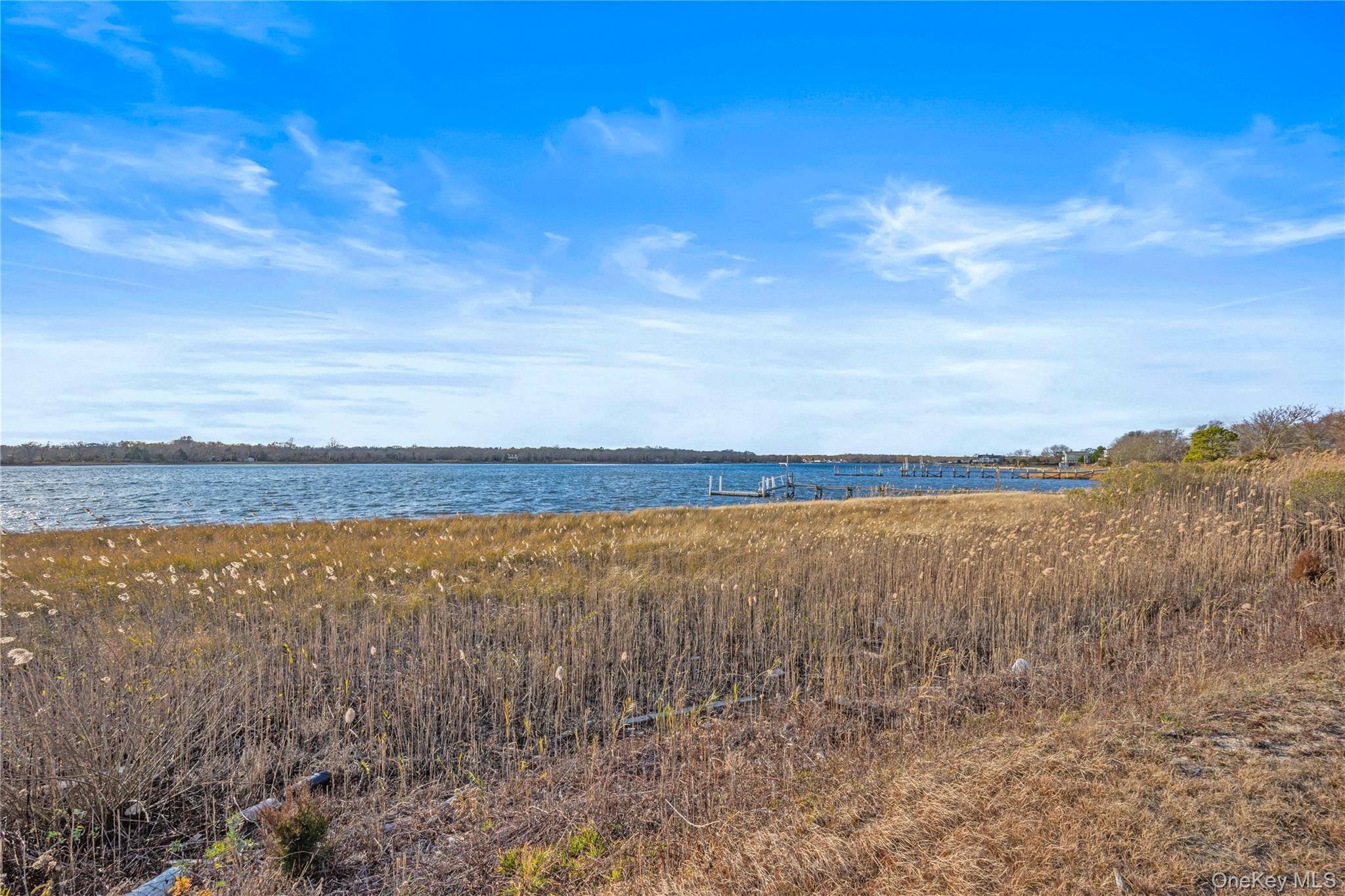 28 Old Neck Road South Center Moriches, NY 11934 - Photo 38 of 43 a view of an ocean