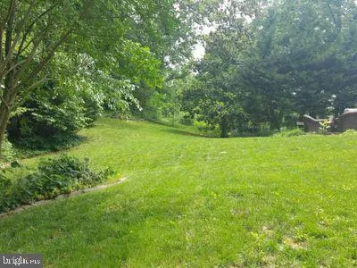a view of yard with green space