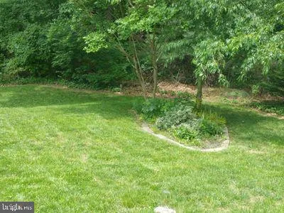 a view of a lush green space