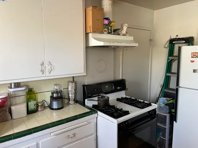 a kitchen with a sink and a potted plant on the counter