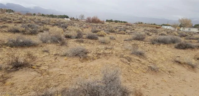 $92,000 | West Pearl Avenue, Sandy Valley, NV 89019