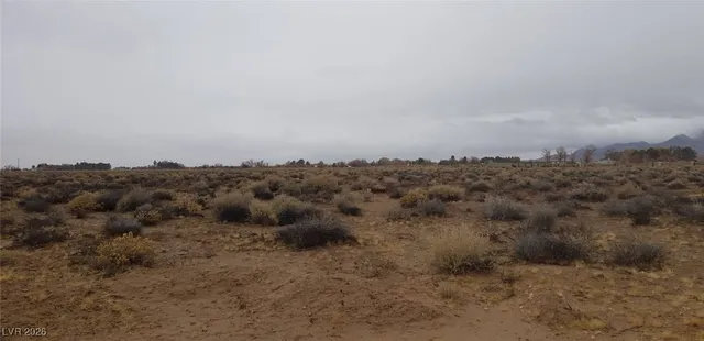 $92,000 | West Pearl Avenue, Sandy Valley, NV 89019