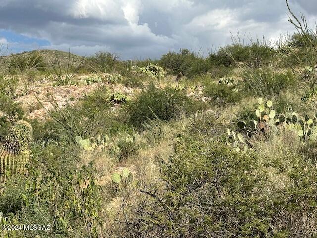 8167 South Pistol Hill Road Vail, AZ 85641 - Photo 11 of 36