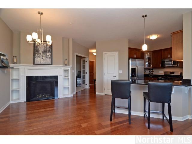 462 Ford Road, Unit 104 St. Louis Park, MN 55426 - Photo 3 of 10