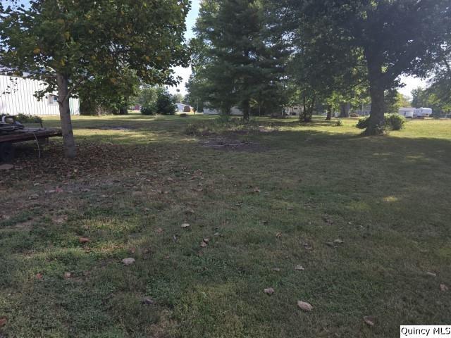 102 Center Street Augusta, IL 62311 - Photo 29 of 31 a view of dirt yard with green space