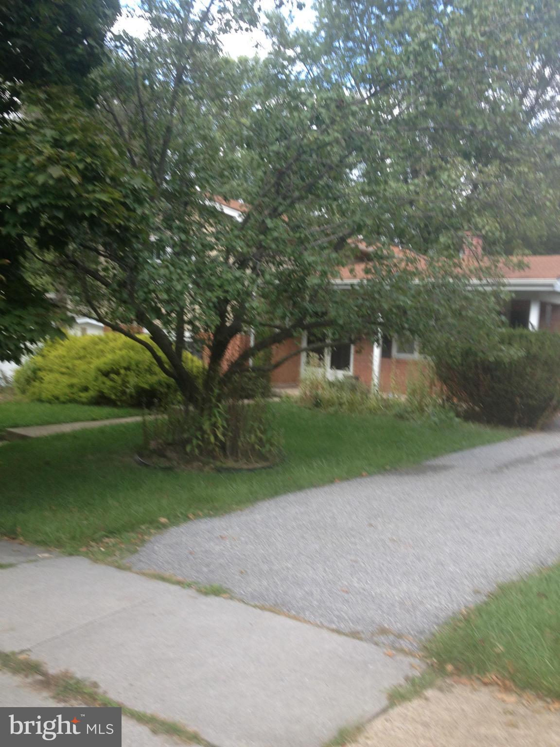 4600 Hawksbury Road Pikesville, MD 21208 - Photo 17 of 17 a view of a yard with plants and large trees