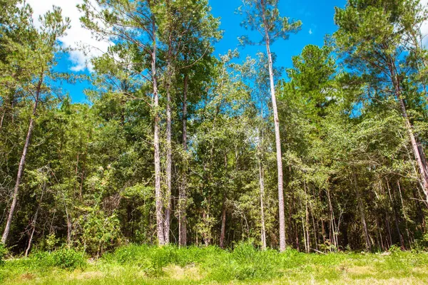 $135,000 | Lot 12 Leyland Court, Clarks Hill, SC 29821